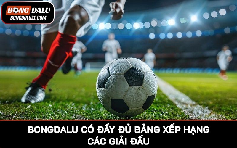BONGDALU có đầy đủ bảng xếp hạng các giải đấu bóng đá quốc nội