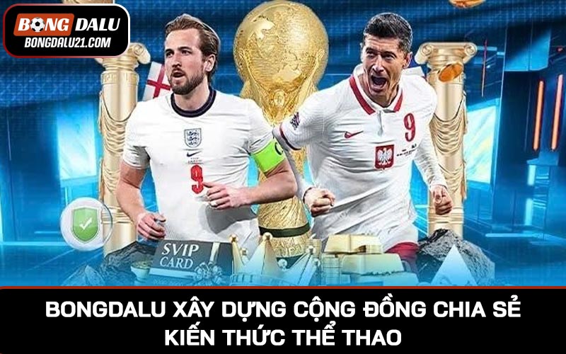 BONGDALU xây dựng cộng đồng chia sẻ kiến thức thể thao