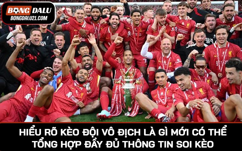 Hiểu rõ kèo đội vô địch là gì mới có thể tổng hợp đầy đủ thông tin soi kèo cần thiết