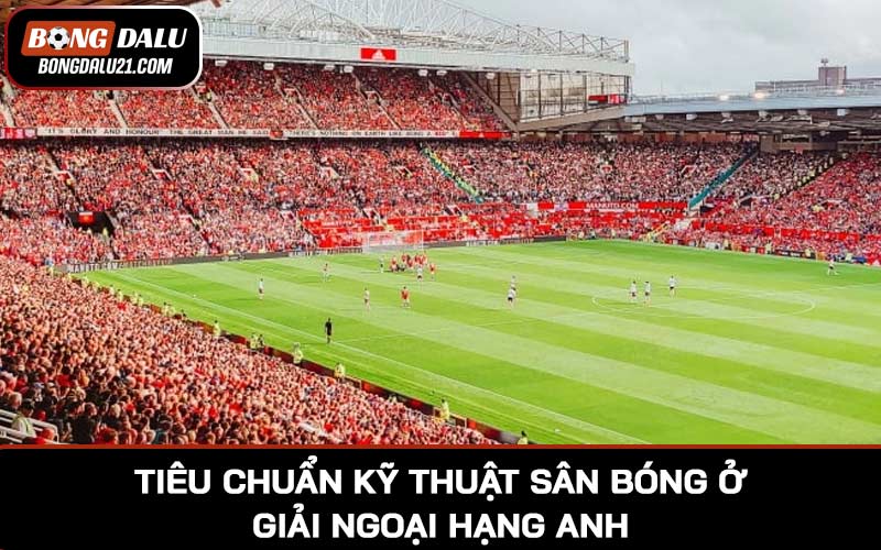 Tiêu chuẩn kỹ thuật trong xây dựng sân bóng ở giải Ngoại Hạng Anh