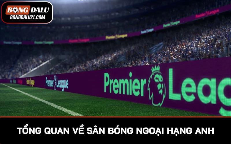 Tổng quan về sân bóng Ngoại Hạng Anh đang sử dụng