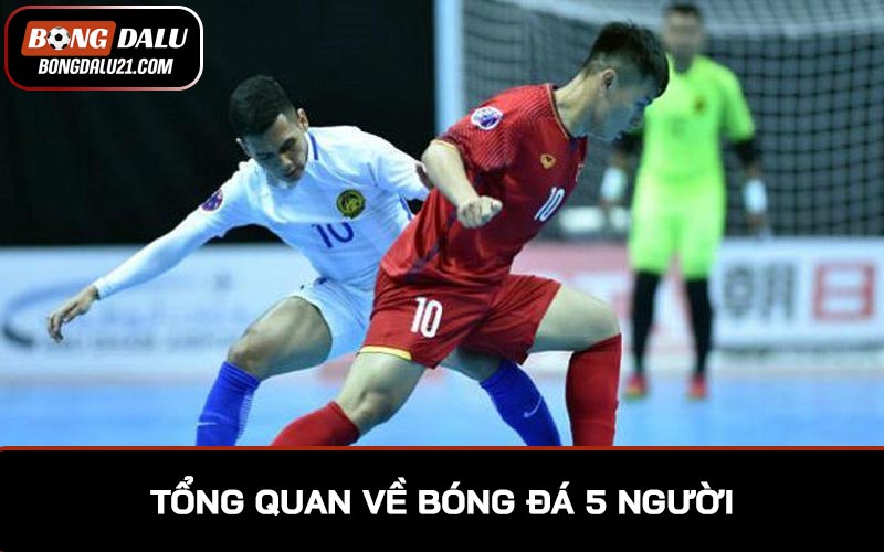 Tổng quan về bóng đá 5 người